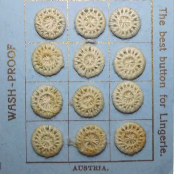 Dorset Button Workshop